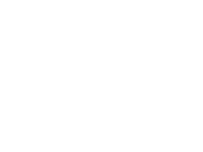 Brick Awards 2025 White